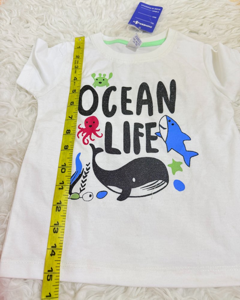 Ocean life