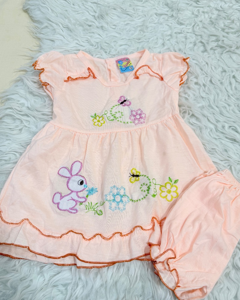 Bunny embroidery frock